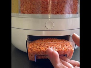 Rotating Food Dispenser