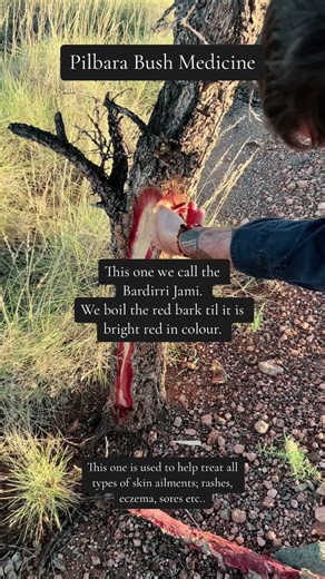 #pilbarabushremedy #pilbarabushmedicine #mayagaenterprises #bushmedicine #bushremedies #aboriginalbushmedicine #aboriginalbushremedies #bardirrijami #ngarlumayindjibarndibushmedicine #ngarlumacountry #yindjibarndicountry