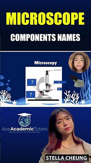 All Microscope Parts & Functions | Quick Science Guide | Ace Academic Tutors