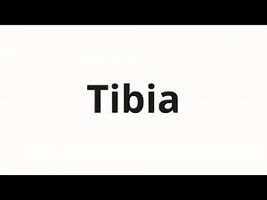 How to pronounce Tibia