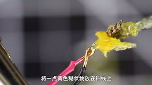不可思议的科学现象，锡焊为什么要加松香？多年疑惑解开了