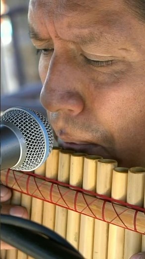 PAN FLUTE and GUITAR - INKA GOLD #inkagoldmusic #panflute #shorts