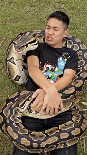 Boy Gets Wrapped by a Giant Snake 😱🐍#short