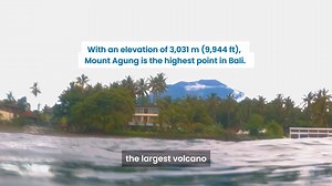 15 reactions | Can artificial reefs effectively mimic the ecological...