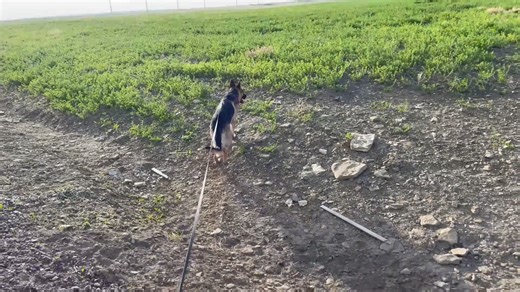 July 2022, Life Updates! | Gibi