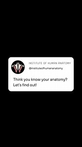 Do you konw your anatomy?! 🧠 #quiz #test #anatomy #foryouシ #learning | Institute of Human Anatomy