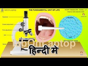 NCERT Class 9th - Activity 5.7 | Observing Cheek Cells in Microscope | labOnLaptop | Virtual Lab