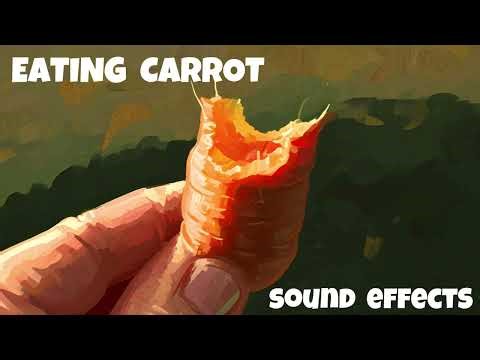 Eating Carrot Sound Effects