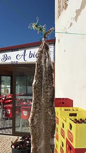 You guys eating raw sun dried moray eel? | Ryan Myers