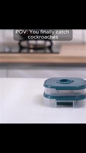 Cockroach Killing Trap Box with Powder 1990/- order now