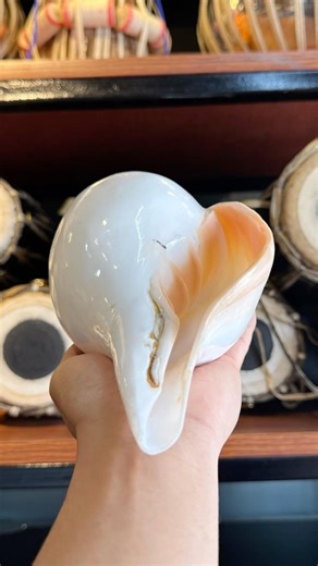 Best Conch Shell (Shankh) in Nepal 🇳🇵 | Professional Scales 432Hz, 440Hz, 444Hz