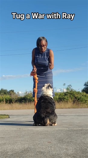 Who will win at this? | Nora Tesa Potts