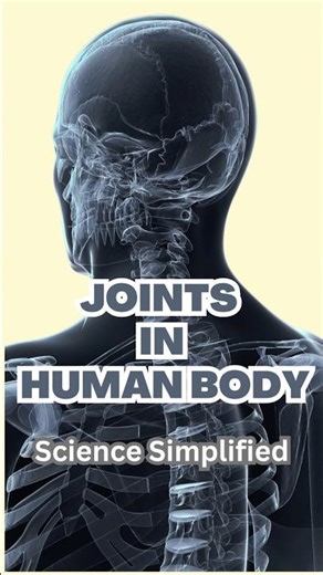 Types of Joints #ytshorts #shorts #joints #skeletalsystem #scienceshorts