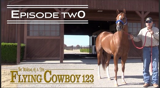 33K views · 748 reactions | Making Of A Sire: Flying Cowboy 123 - Episode 2 In this episode, the future sire begins his racing career as a two-year old at Ruidoso Downs, New Mexico. | Stallionesearch.com | Facebook