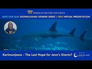 Save Our Seas Distinguished Speaker Series: Karimunjawa - The Last Hope for Java's Giants