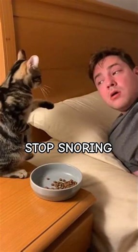 Cat Says “STOP SNORING!” … It’s Dinner Time 🐱😳