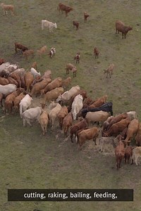 Livestock, horse, poultry, and beehive owners in Queensland must be registered with Biosecurity Queensland. Registration helps quickly locate animals and keep you informed in a pest or disease emergency. Check if you’re registered http://bit.ly/BiosecurityRegistration | Biosecurity Queensland
