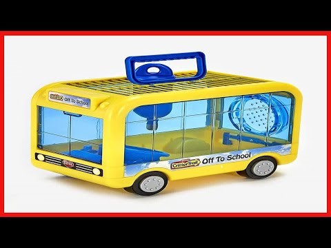 Kaytee CritterTrail Off To School