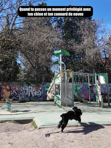 Encore une après-midi de fichu. #fyp #humour #babysitting #famille #saddog