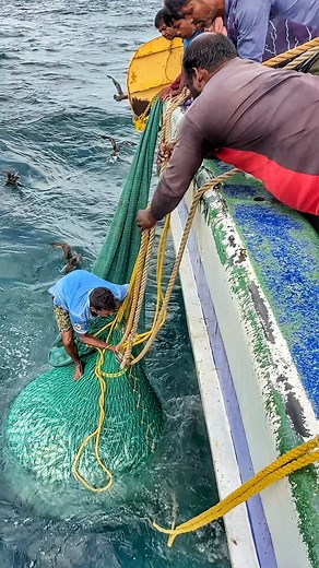 321K views · 4K reactions | One net. A mountain of fish.  #indianoceanfisherman #IOF #oceanlife #fishing #reels #fblifestyle | இந்திய பெருங்கடல் மீனவன் Indian Ocean Fisherman | Facebook