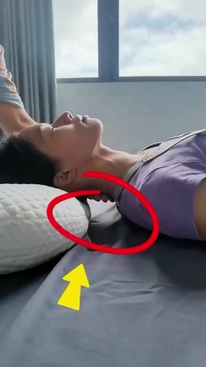 See results for Clearance Best Pillow Combination Sleeper Amazon. Discover Great Online Opportunities. Find Results With These Choices. | Top Black Friday Deals