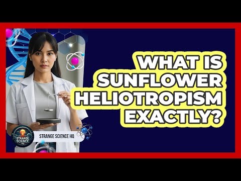 What Is Sunflower Heliotropism Exactly?