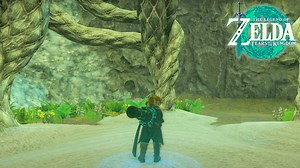 Where To Find the Apapes Lightroot in Zelda: Tears of the Kingdom