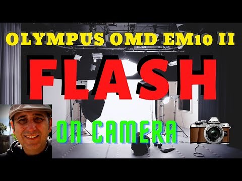 Learning the Flash on camera | Olympus OMD EM10 II