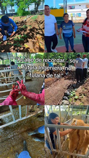 🌱🐄...🤍
