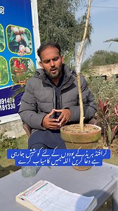 ہریڈ کے پودوں کی ارجن کے پودے کے ساتھ گرافٹنگ | Pakistan Agriculture Forum