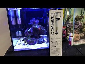 Most effective and affordable protein skimmer for just $22