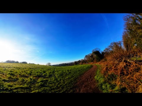 Start Your Day Calm 🌅 30-Minute Morning Walk with Peaceful Music