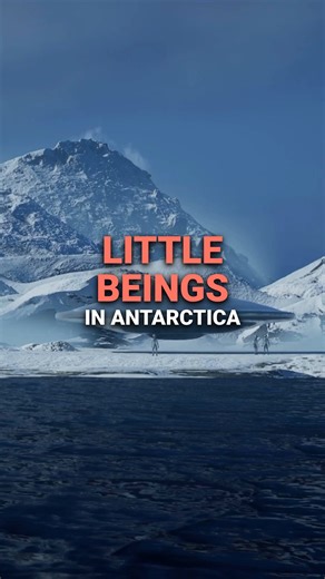 270K views · 3.8K reactions | #ufo #ufology #alientech #extraterrestrial #aliensighting | Unexplained on Gaia | Facebook