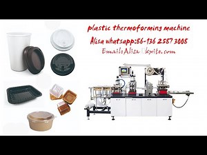Automatic Plastic Disposable Cup Lid Bowl Tray Container Thermoforming Forming Making Machine