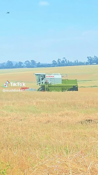 muddin (@muddin441)’s videos with original sound - Choomina