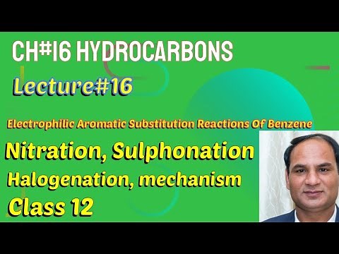 Ch#16||Lec#16 |Electrophilic Aromatic Substitution Reactions Of Benzene |#Class12 Chemistry
