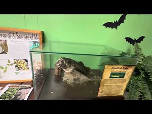 Mentone Alabama ! Desoto State Park - Go There !