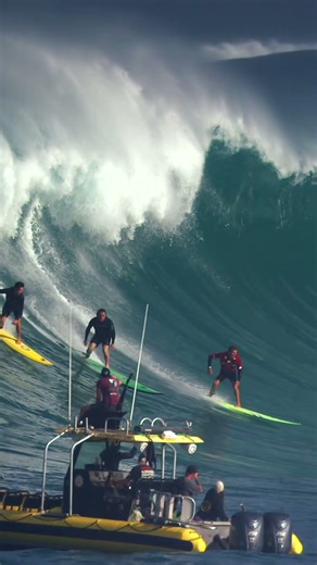 Waimea bay 11.30.2025 #hawaii #surf #bigwave #northshoreoahu #waimea #waimeabay #bigwavesurfing 10