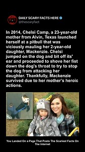 In 2014, Chelsi Camp, a 23-year-old mother from Alvin, Texas, performed an extraordinary act of maternal bravery. Her 2-year-old daughter, Mackenzie, was playing outside when a friend’s pitbull suddenly turned violent and launched a vicious attack. Chelsi immediately intervened, leaping onto the dog, biting its ear off, and shoving her fist down its throat in a desperate effort to stop the mauling. Despite being severely injured herself, Chelsi didn’t back down until the dog was restrained. Her 