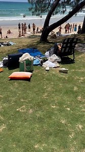 It ain't an Aussie summer without a Red-Bellied black snake in and around your picnic at the beach... Video: @chadventuresfishing . . . #snake #aussie #picnic #summer #snakecatcher #venomous #intruder #danger | Sunshine Coast Snake Catchers 24/7