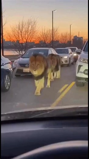 This clip was sent in earlier tonight. No confirmation on where it was filmed, but several viewers claim it looks like Riverside near 41st. If this were real… what would you do? #TulsaCommunityReports #TulsaArea #OnlyInTulsa | Tulsa Community Reports