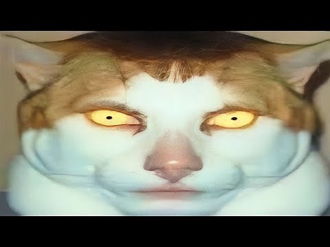 Monday left me broken 💔