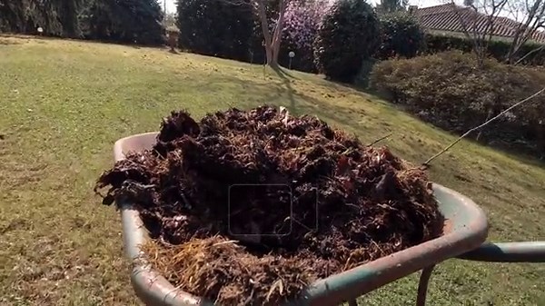 Wide shot of wheelbarrow with humus on lawn in sunny garden with fence. Fertilizer ready for spreading across yard Stock Video Footage - Alamy
