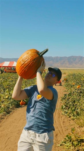 October is here, and so is all the fall fun. We can’t wait to share it with you! Top 10 Reasons to Visit Apple Annie’s 1. Pick your own fruit, pumpkins, and veggies straight from the farm. 2. A pumpkin patch overflowing with colors, shapes and sizes galore. 3. Get lost (on purpose!) in our giant corn maze adventure. 4. Snap stunning photos in our golden sunflower fields. 5. Treat yourself to homemade apple pies, pumpkin rolls and cider donuts. 6. Enjoy weekend eats at the Orchard Grill—pumpkin p
