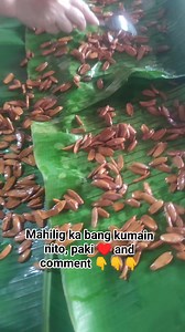 78 reactions · 63 comments | Caramelized pili nut or pili nut candy, pang himagas mga idol   #pilinuts #pilinutscandy | Romeo Gallanosa Brinces | Facebook