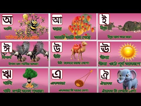 বাংলা স্বরবর্ণ অ থেকে ঔ | Learn Bangla Vowels for Kids | shisu phonics academy