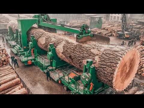 Inside U.S. Greatest Living Legendary Sawmills: How Premium Lumber & Plywood Are Really Made