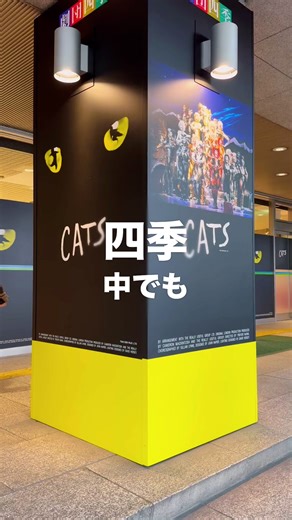 劇団四季「キャッツ」の正直なレビュー
