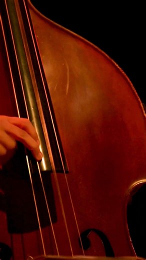 Upright bass video short #jazz #jazzmusic #music
