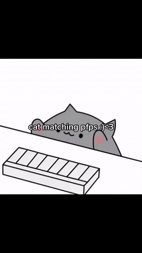 Cat Matching PFPs: Cute Kittens for Profile Fun
